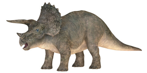 Realistic depiction of a triceratops dinosaur