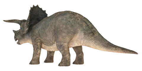 Realistic depiction of a triceratops dinosaur