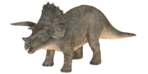 Realistic depiction of a Triceratops dinosaur.