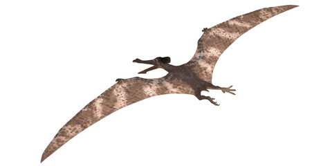 Pterodactyl soaring gracefully in the sky. © Ilie