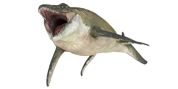 Majestic Mosasaurus displaying powerful jaws.
