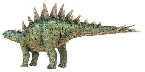 Illustration of a Stegosaurus dinosaur.