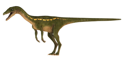 Green dinosaur on white background