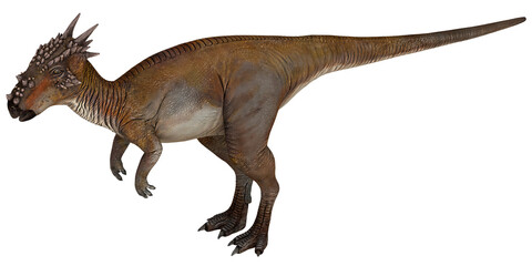 Realistic dinosaur model on white background