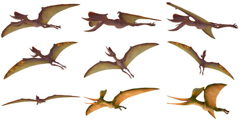 Illustration of flying prehistoric pterosaurs.