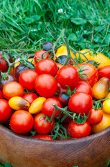 Wooden bowl full of colorful tomatoes placed on green grass