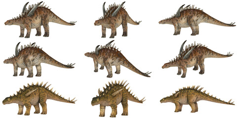 Illustration of Stegosaurus dinosaurs in various poses. © Ilie