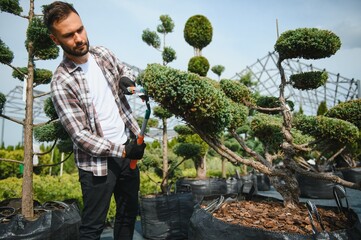 Garden Pruning Works to Maintain the Appearance of Shrubs, Bushes, Trees and Other Plants....