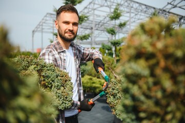 A young gardener cuts a tree with scissors. Gardening and tree shop concept