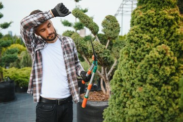 A young gardener cuts a tree with scissors. Gardening and tree shop concept