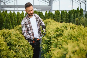 Garden Pruning Works to Maintain the Appearance of Shrubs, Bushes, Trees and Other Plants....