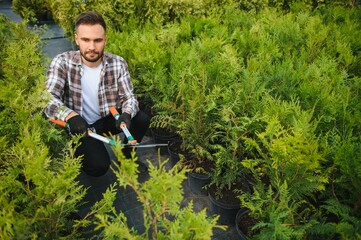 A young gardener cuts a tree with scissors. Gardening and tree shop concept