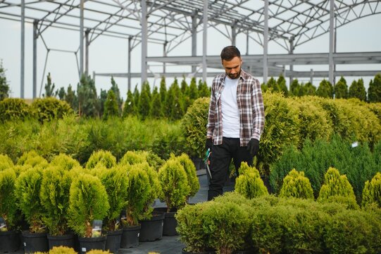 Male employee of garden shopping center inspects product. Department with potted plants, is preparing to advise clients