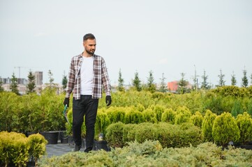 Portrait of a young handsome gardener. Shop of tree sprouts.