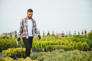 Garden worker trimming trees with scissors. garden shop