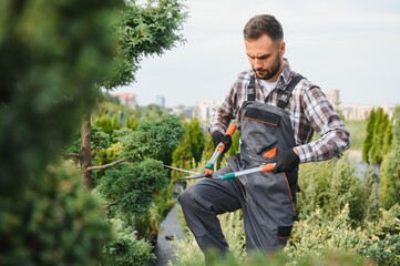 Garden worker trimming trees with scissors. garden shop