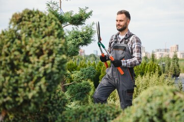 the gardener trims the trees