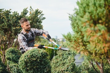 the gardener trims the trees