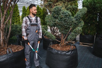 the gardener trims the trees
