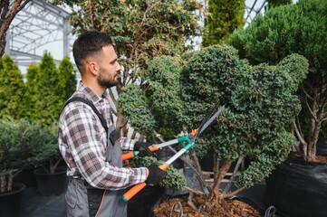 the gardener trims the trees