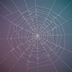 An intricate, delicate 3D render of a glistening spider web, meticulously woven with fine, silvery threads, creating a fascinating and slightly eerie visual.