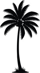 A black silhouette of a palm tree on a white background Eps 10