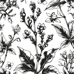 Detailed clove plant sketches, ink style line art, flower buds and leaves, isolated elements for spice product design, black and white vector 2