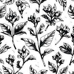 Detailed clove plant sketches, ink style line art, flower buds and leaves, isolated elements for spice product design, black and white vector 3