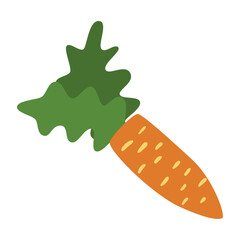 Illustration of a fresh, vibrant carrot with green leaves against a white background