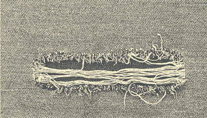 Detailed view of a tear in denim fabric showing the internal fibers and texture. It captures the intricacies of the fabric's construction, with a raw, exposed look.