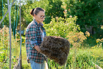 Female gardener with a bundle of hay for mulching raised wooden beds