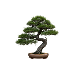 Bonsai Tree in Pot Minimalist Artistic Isolated Plant on White Background Perfect for Zen and Relaxation Concepts