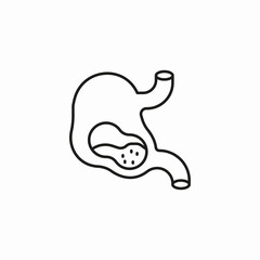 human stomach organ icon sign vector