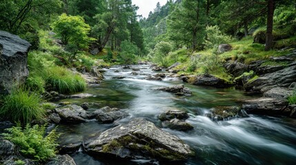 Obraz premium Stunning photo of clear Stream Flowing Over Rocks in Lush Green Landscape.