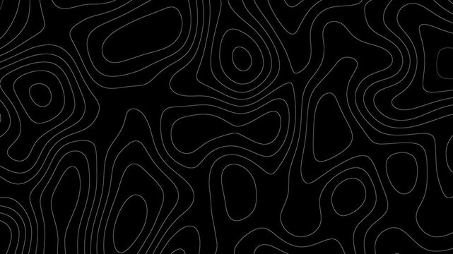 Abstract Minimal Topographic Contour Lines Background | 4K Seamless Loop