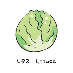 手描きのレタス2_名称入