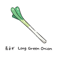 手描きの長ネギ2_名称入