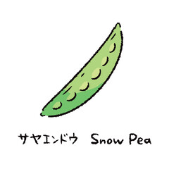 手描きのさやえんどう2_名称入