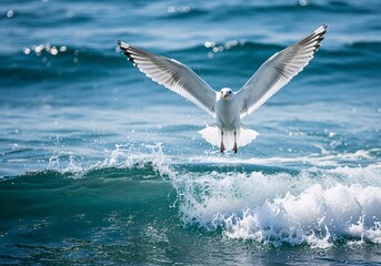 A majestic white seagull with outstretched wings flying low over a vibrant blue ocean wave.