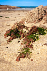 Artistic Coastal Scene with Foreground Rocks at Little Haven Beach, Pembrokeshire