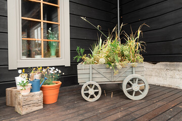 Restaurant scene with decorative planters outside the window in the village of Djupivogur Iceland.

