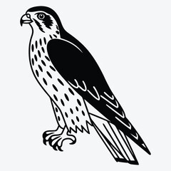 Obraz premium Falcon line art White background illustration Generative Ai