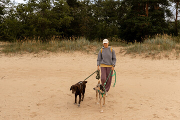 professional dog walker. person walks two pets on beach by sea or Forest. dogs on leashes, woman is...