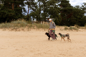 professional dog walker. person walks two pets on beach by sea or Forest. dogs on leashes, woman is...