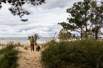 person walks two dogs on path in forest or park. canine are on leashes, and the woman is wearing...
