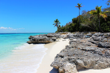 rocky shoreline in the Caribbean