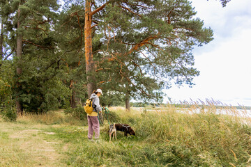 person walks two dogs on path in forest or park. canine are on leashes, and the woman is wearing...