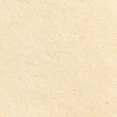 Obraz premium Light beige textured paper surface