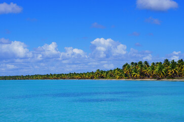 Perfect Tropical Coastline in the Caribbean