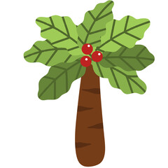 Palm tree illustration